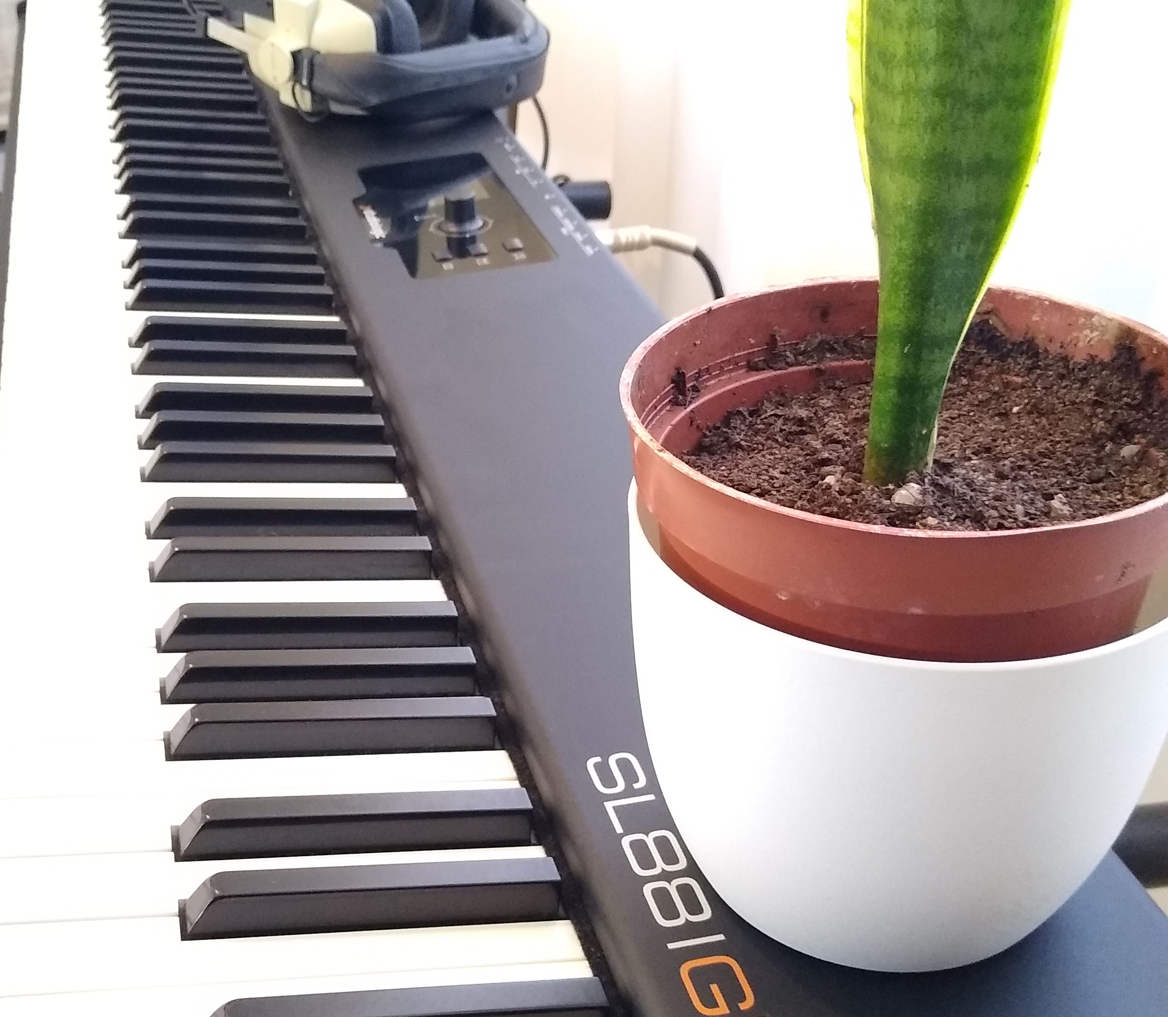 sheetmusic